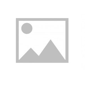 logo Albert School